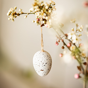 Améliorer son ovulation