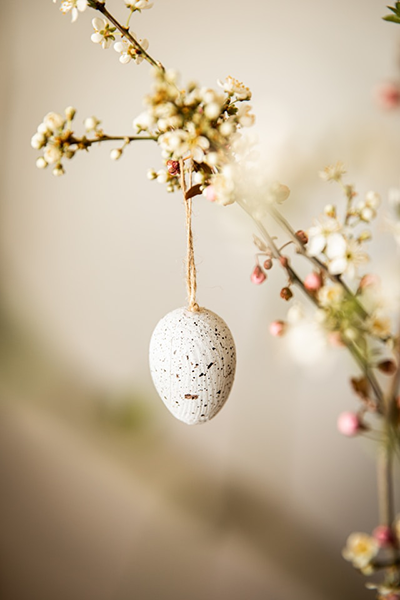 Ovulation