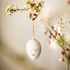 Améliorer son ovulation